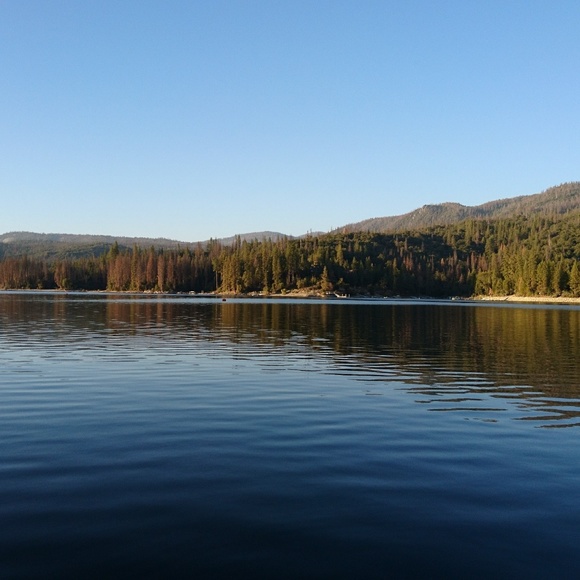 Meet your Posher, Rose - Picture 1 of 1